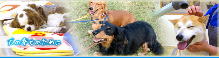 犬の幸せのために