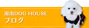 湘南DOG HOUSEブログ